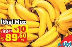 İTHAL MUZ KG İTHAL MUZ KG